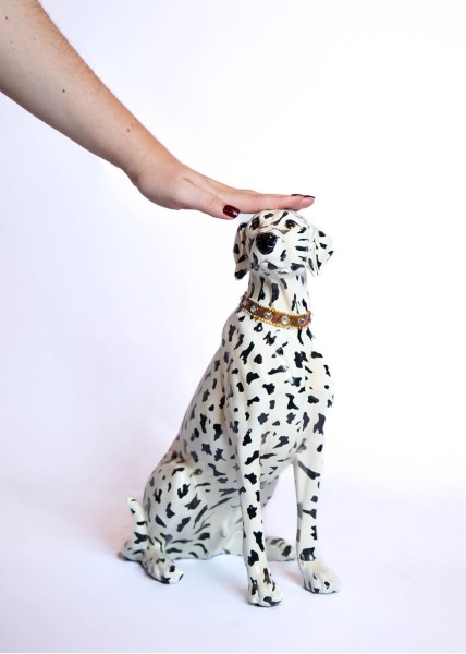 Chien dalmatien assis en XL
