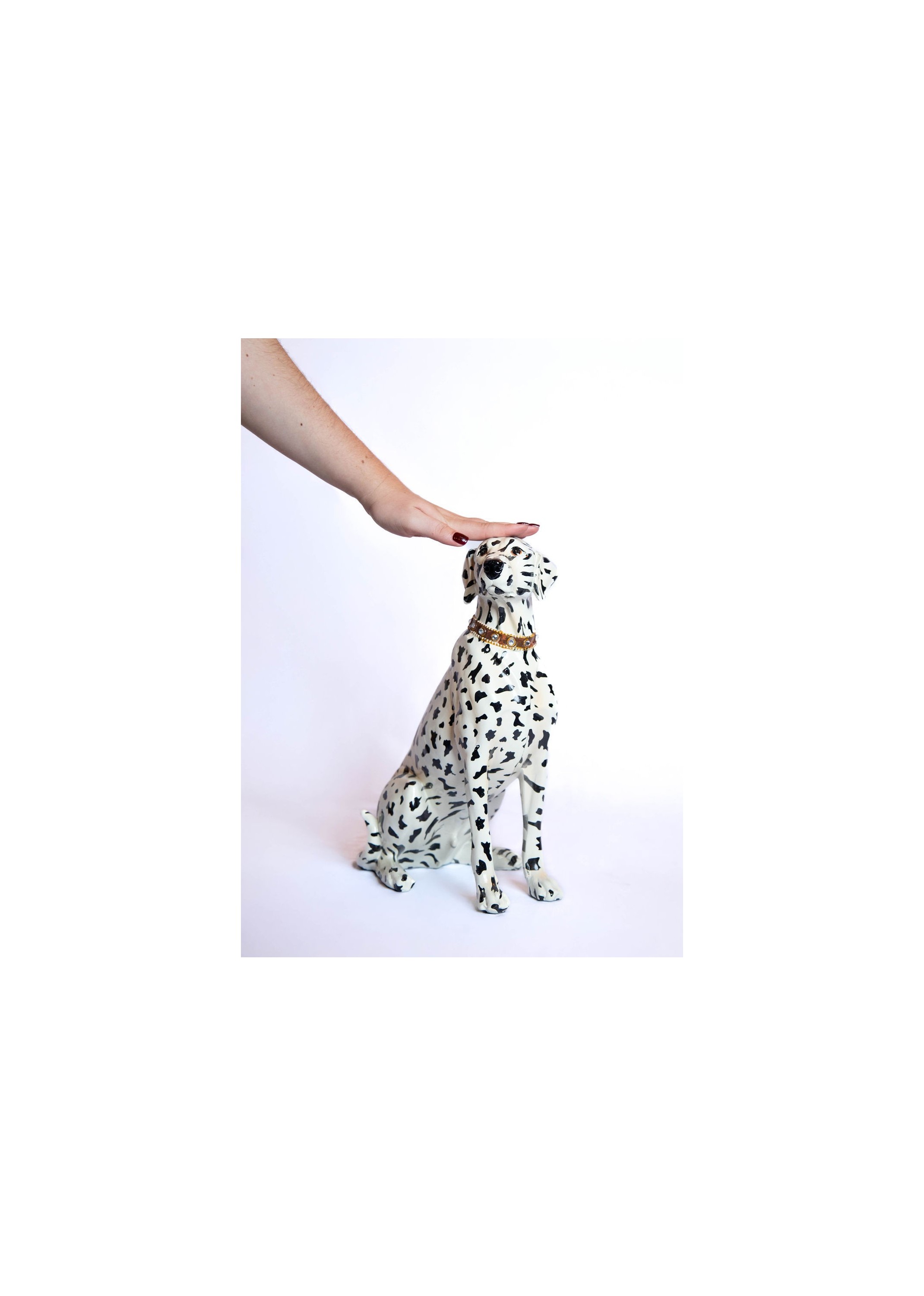 Chien dalmatien assis en XL