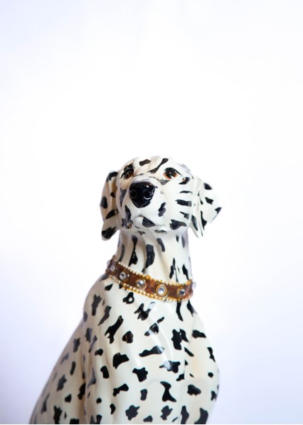 Chien dalmatien assis en XL