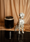 Chien dalmatien assis en XL