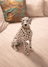 Chien dalmatien assis en XL
