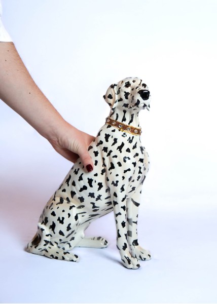 Chien dalmatien assis en XL